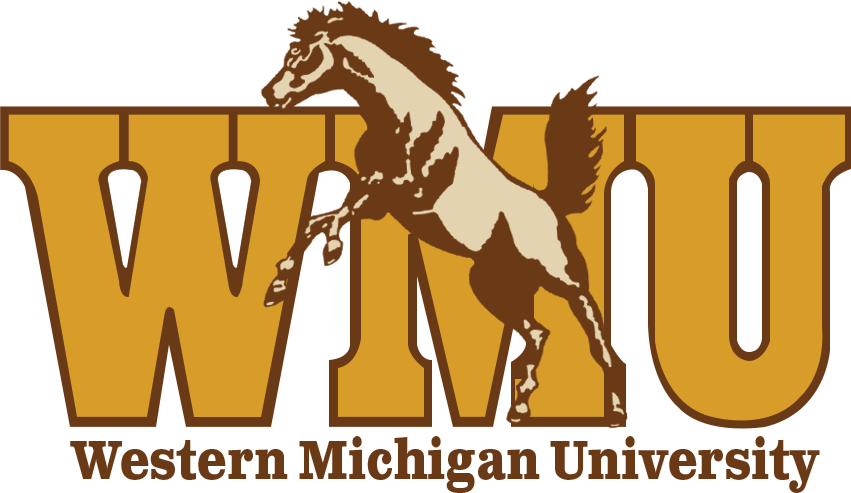 Western Michigan Broncos 1988-1994 Primary Logo diy iron on heat transfer